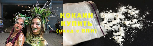 ПСИЛОЦИБИНОВЫЕ ГРИБЫ Краснотурьинск