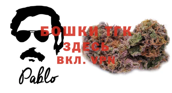 тгк Краснослободск