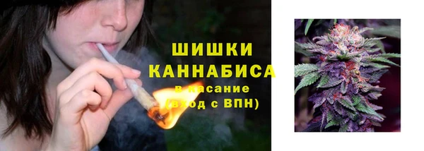 ПСИЛОЦИБИНОВЫЕ ГРИБЫ Краснотурьинск