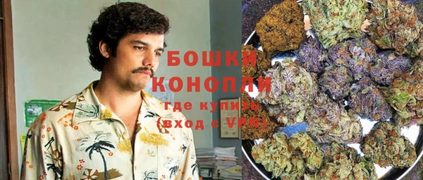 тгк Краснослободск
