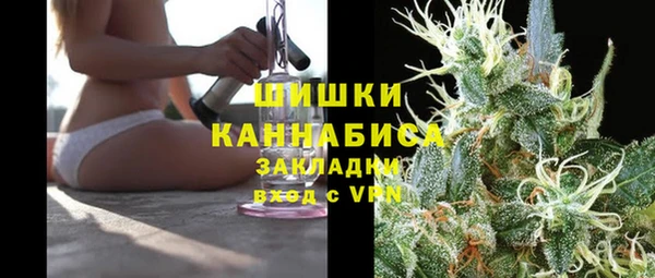 ПСИЛОЦИБИНОВЫЕ ГРИБЫ Костерёво