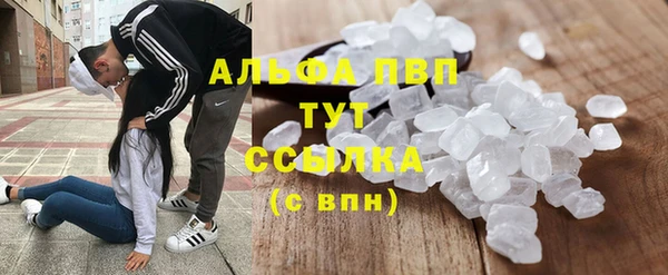 ПСИЛОЦИБИНОВЫЕ ГРИБЫ Краснотурьинск