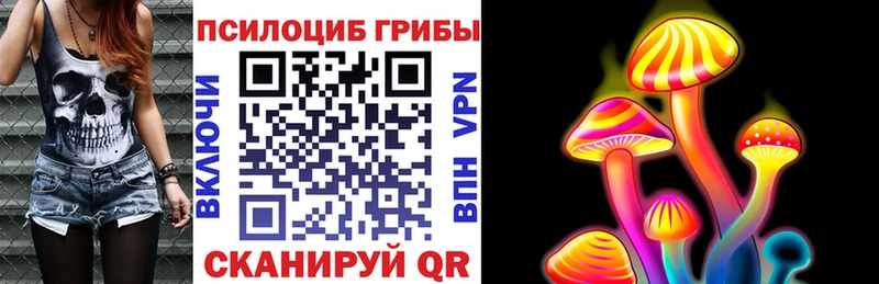 Псилоцибиновые грибы Psilocybe Лосино-Петровский