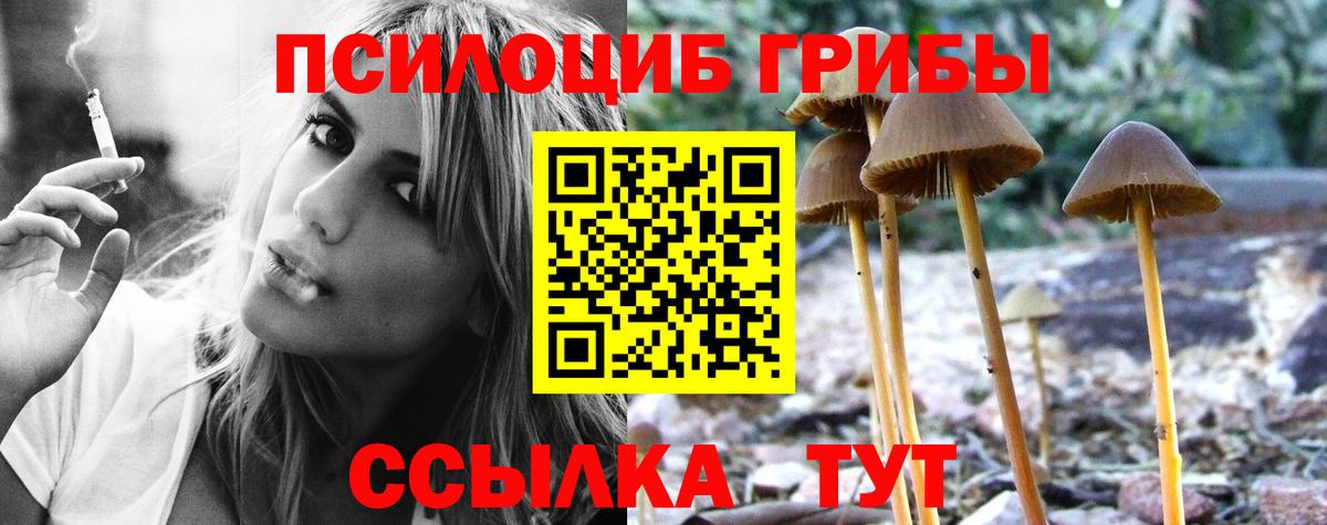 Лосино-Петровский  Псилоцибиновые грибы GOLDEN TEACHER  как найти закладки  Вход с VPN 